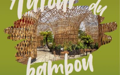 Quand le bambou tisse des liens…